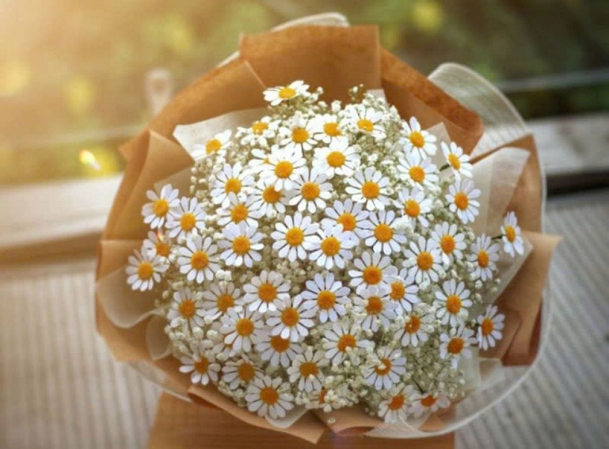 Đừng đợi mọi thứ phải hoàn hảo mới bắt đầu