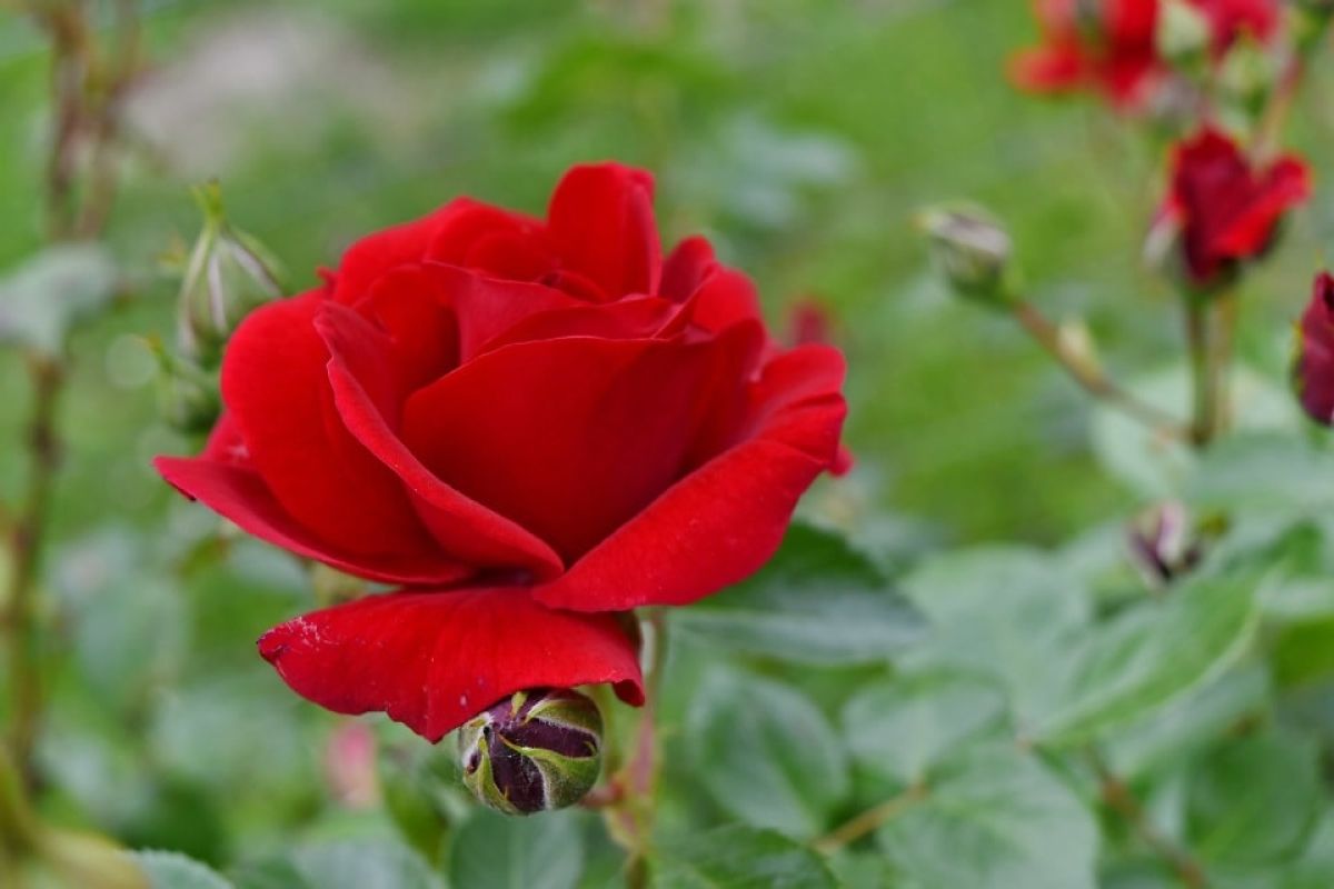 Nguy&ecirc;n nh&acirc;n g&acirc;y suy nhược, l&atilde;o ho&aacute; sớm, mệt mỏi k&eacute;o d&agrave;ii