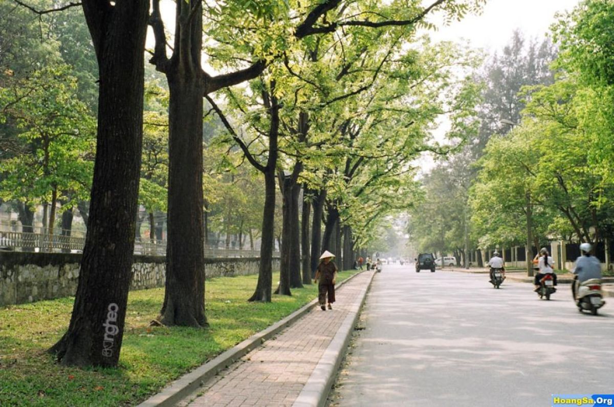 Hà Nội ngập là do san lấp hết ao hồ?