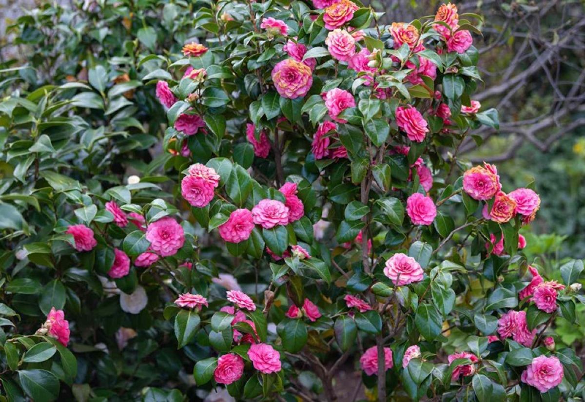 Cảm x&uacute;c ti&ecirc;u cực l&acirc;u ng&agrave;y sẽ biến th&agrave;nh bệnh tật