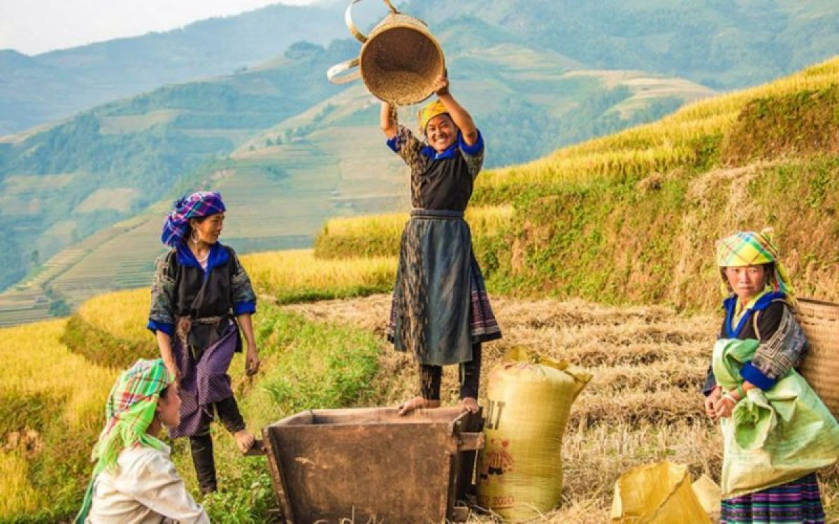 Cách suy nghĩ ảnh hưởng đến cuộc sống của bạn như thế nào?