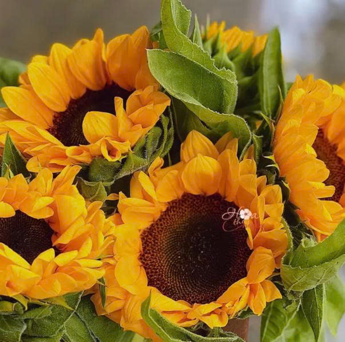 Thời trang nhanh là gì và tác hại đối với môi trường hiện nay